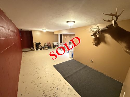 Lewis Auction